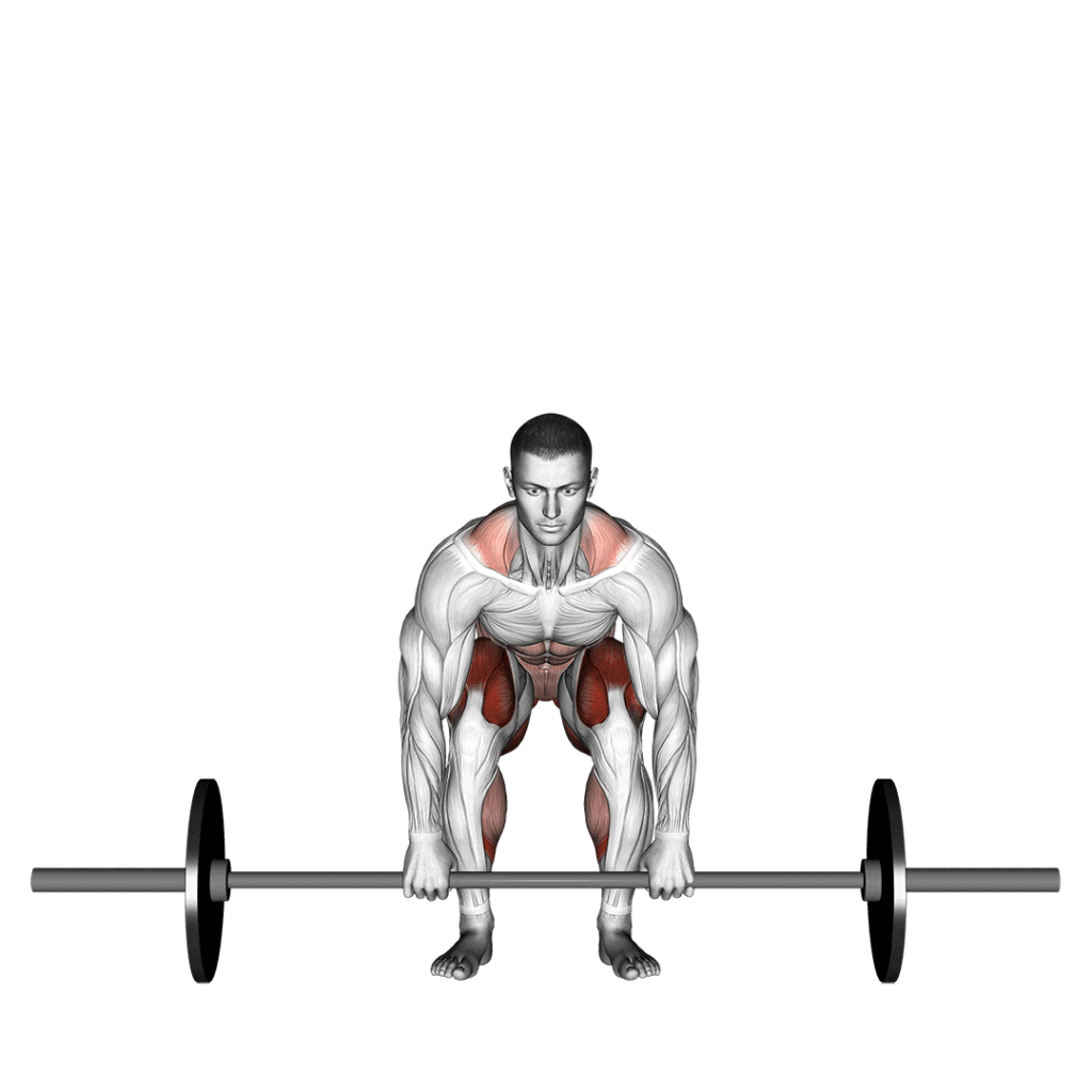 Deadlift for muscle