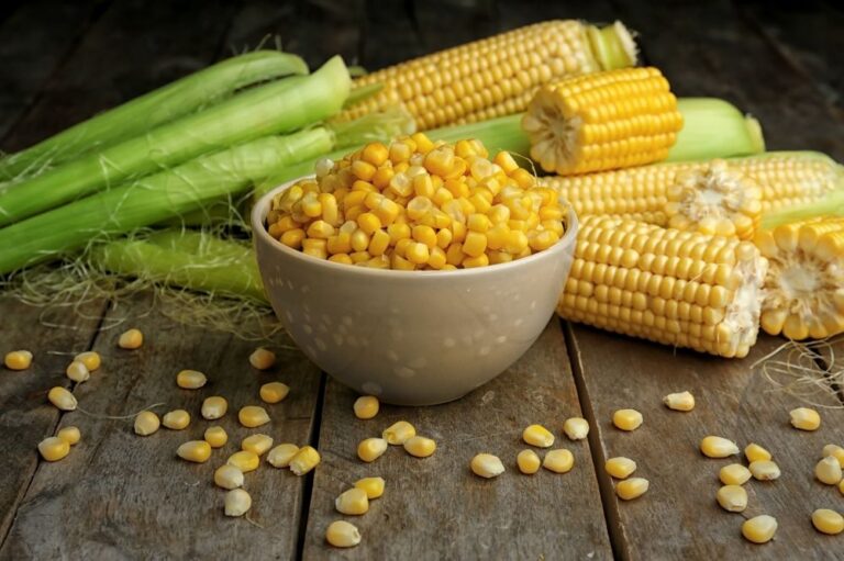 Sweet Corn Benefits