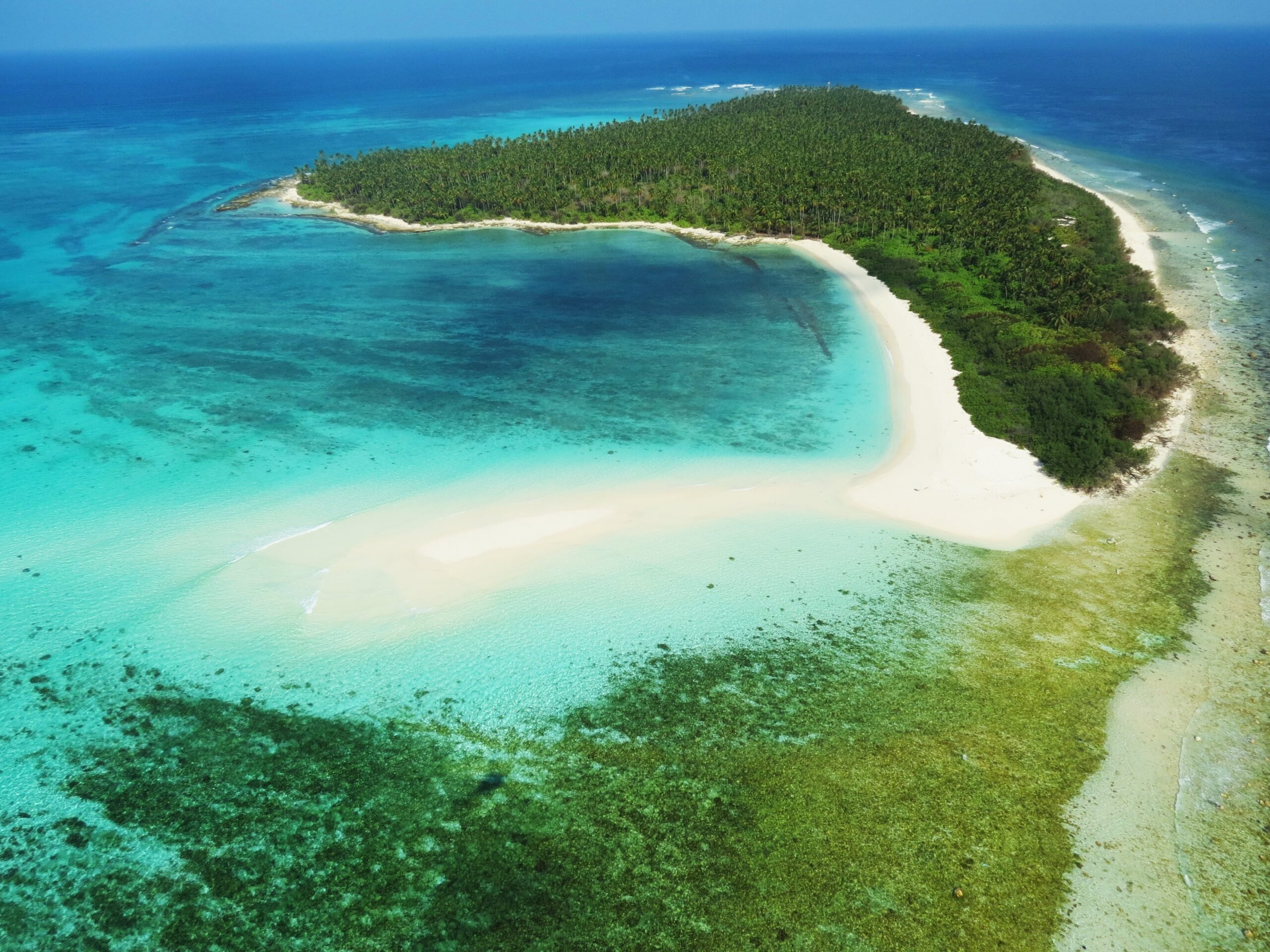 aerial view of island during daytime